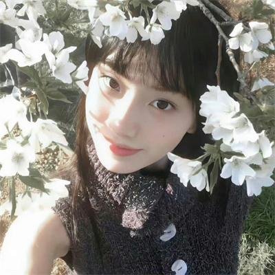 露营悄悄话